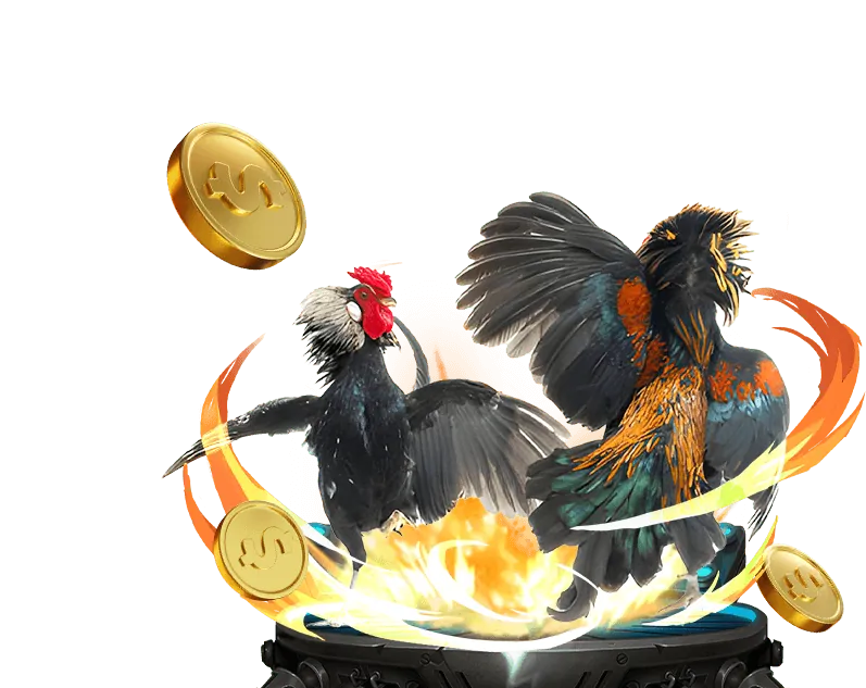 Chương trình VIP và thưởng trung thành