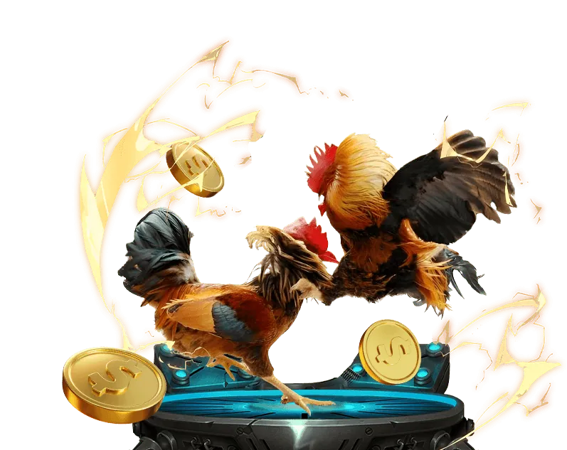 Khán giả theo dõi đá gà trực tiếp tại sân vận động với bình luận viên